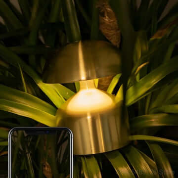 Metal Touch Sense Mushroom Nightlight Desk Lamp