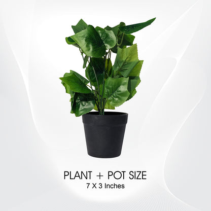 Artificial Potted Plants for Home & Office Décor - Greenery to Enhance Any Space