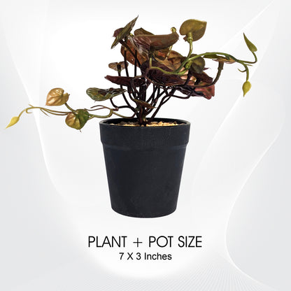 Artificial Potted Plants for Home & Office Décor - Greenery to Enhance Any Space