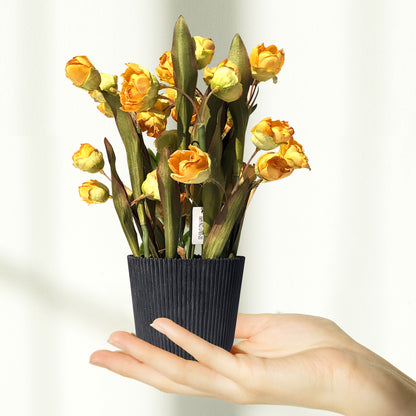 Daffodil Artificial Potted Plants for Home & Office Décor - Greenery to Enhance Any Space