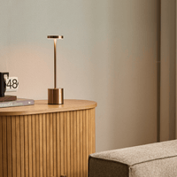 Long Neck Minimalist Metal Touch Sense LED Lamp
