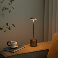 Long Neck Minimalist Metal Touch Sense LED Lamp