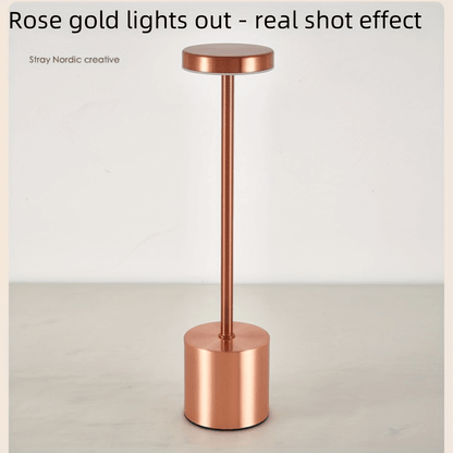 Long Neck Minimalist Metal Touch Sense LED Lamp