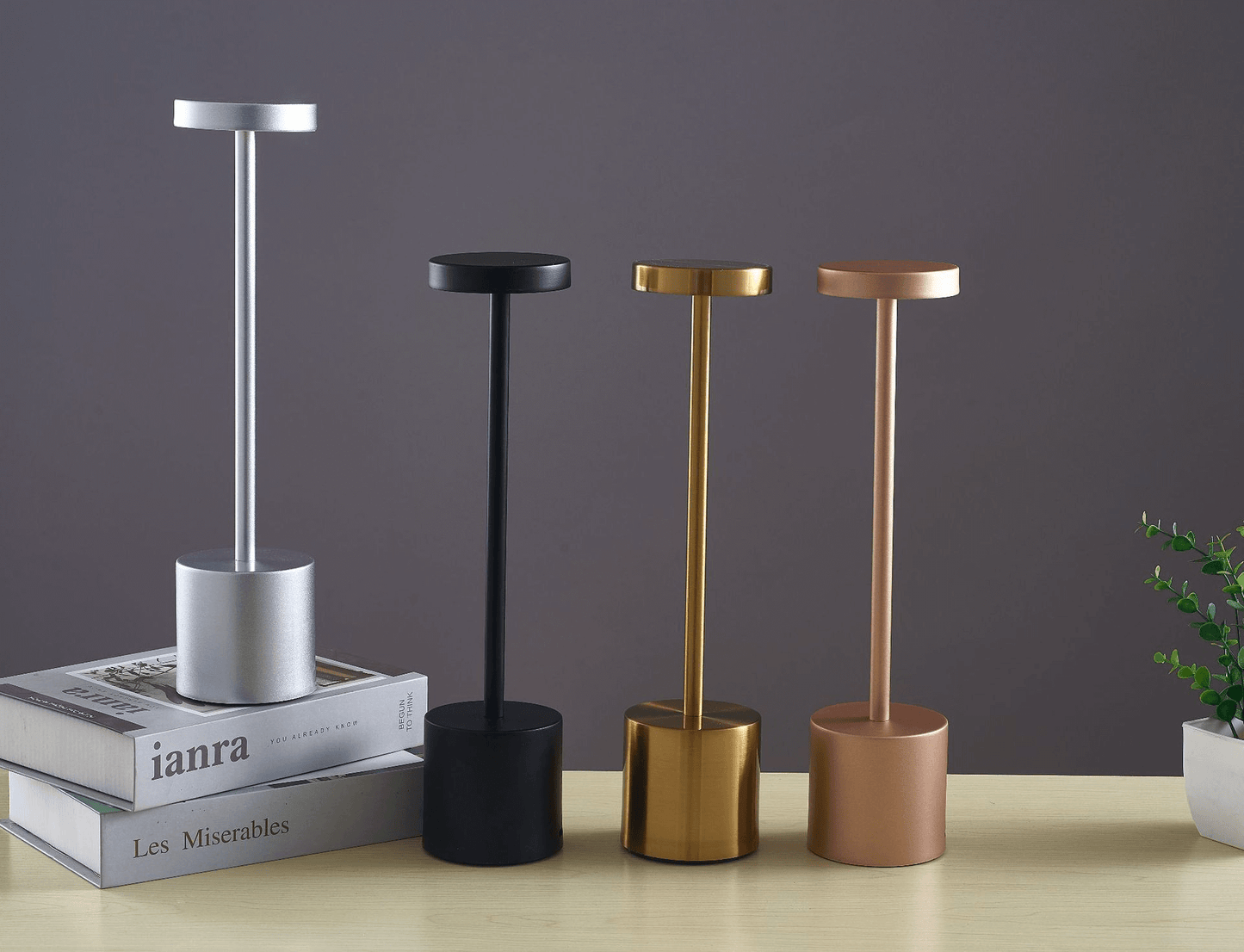 Long Neck Minimalist Metal Touch Sense LED Lamp