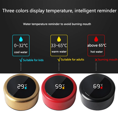 500ml Smart Temperature Display Stainless Steel Water Bottle